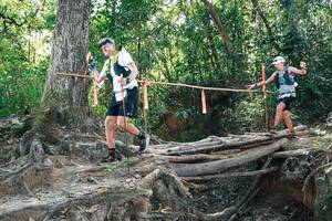 BIB: 
                            <button type="button" onclick="openModal(27744262)" class="btn btn-primary btn-sm float-right btn-popup" data-toggle="modal" data-target=".modal-high-quality">
                        <i class="fas fa-shopping-cart"></i> Add to Cart
                    </button>
                                            <button type="button" onclick="isThisMe(27744262, true)" class="btn btn-success btn-sm float-right btn-popup btn-isme hidden" data-toggle="tooltip" data-placement="bottom" title="นี่คือรูปของคุณใช่ไหม คลิกที่นี่เพื่อเอาเข้าอัลบั้ม">
                        <i class="fas fa-plus"></i> Add to album
                    </button>
                    <button type="button" onclick="isThisMe(27744262, false)" class="btn btn-warning btn-sm float-right btn-popup btn-isnotme hidden">
                        <i class="fas fa-ban"></i> Remove from album
                    </button>